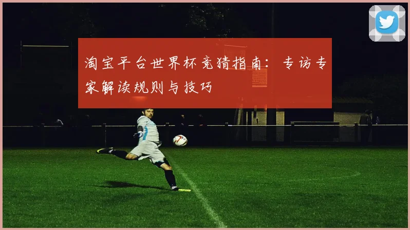 淘宝平台世界杯竞猜指南:专访专家解读规则与技巧