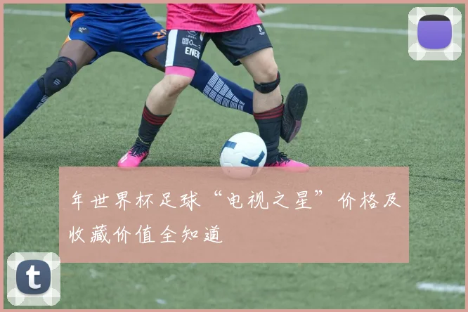 年世界杯足球“电视之星”价格及收藏价值全知道