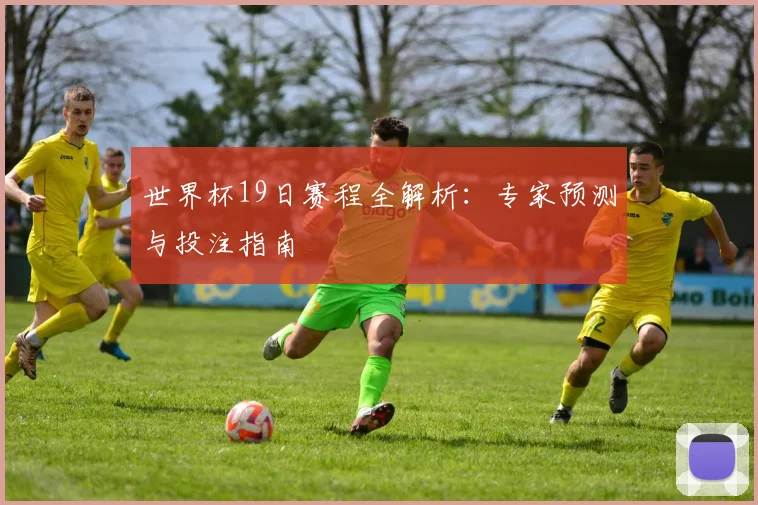 世界杯19日赛程全解析：专家预测与投注指南
