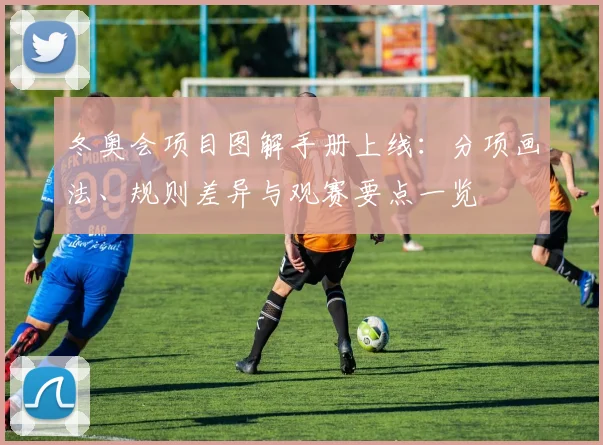 冬奥会项目图解手册上线：分项画法、规则差异与观赛要点一览