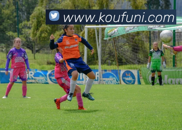 多媒体互动体验